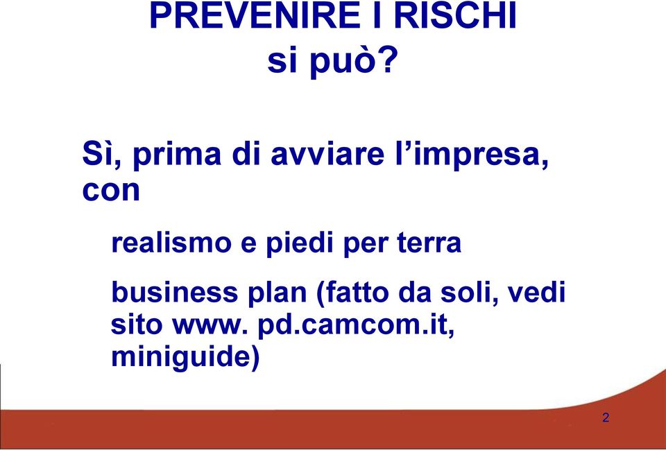 realismo e piedi per terra business plan