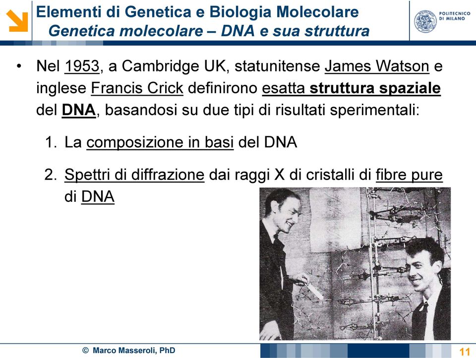 DNA, basandosi su due tipi di risultati sperimentali: 1.