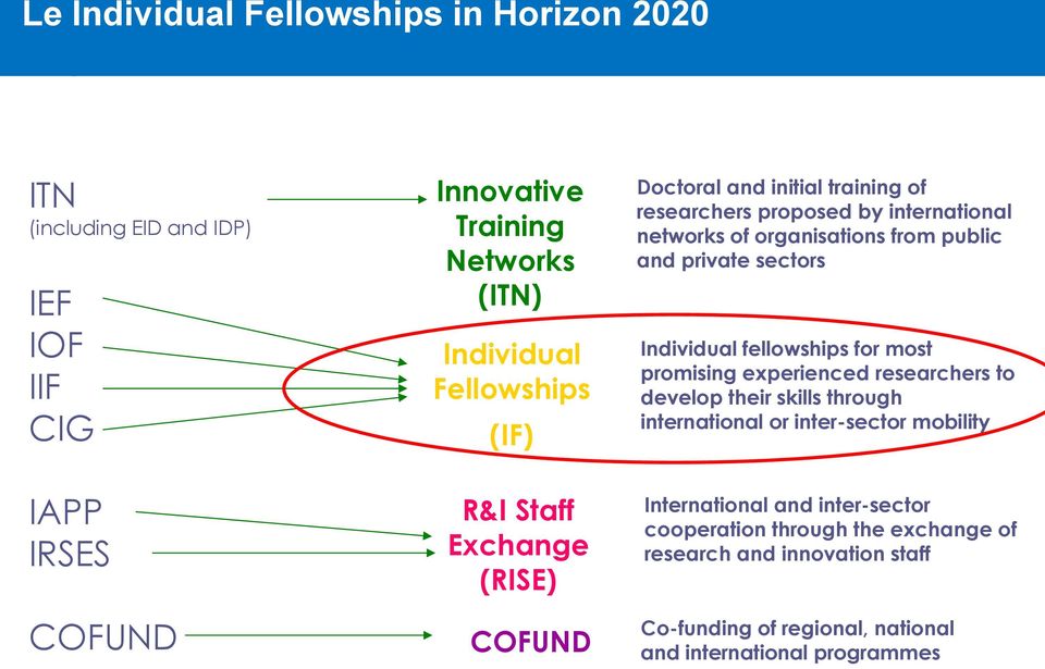 public and private sectors Individual fellowships for most promising experienced researchers to develop their skills through international or inter-sector