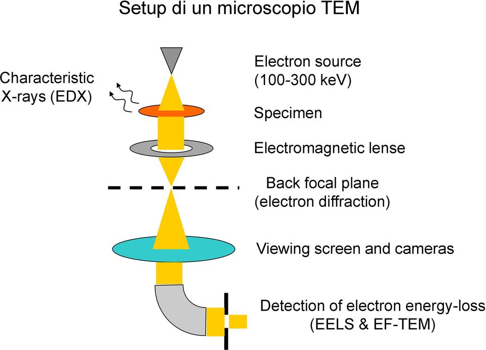 lense Back focal plane (electron diffraction) Viewing