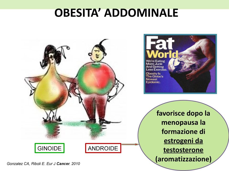 2010 ANDROIDE favorisce dopo la menopausa