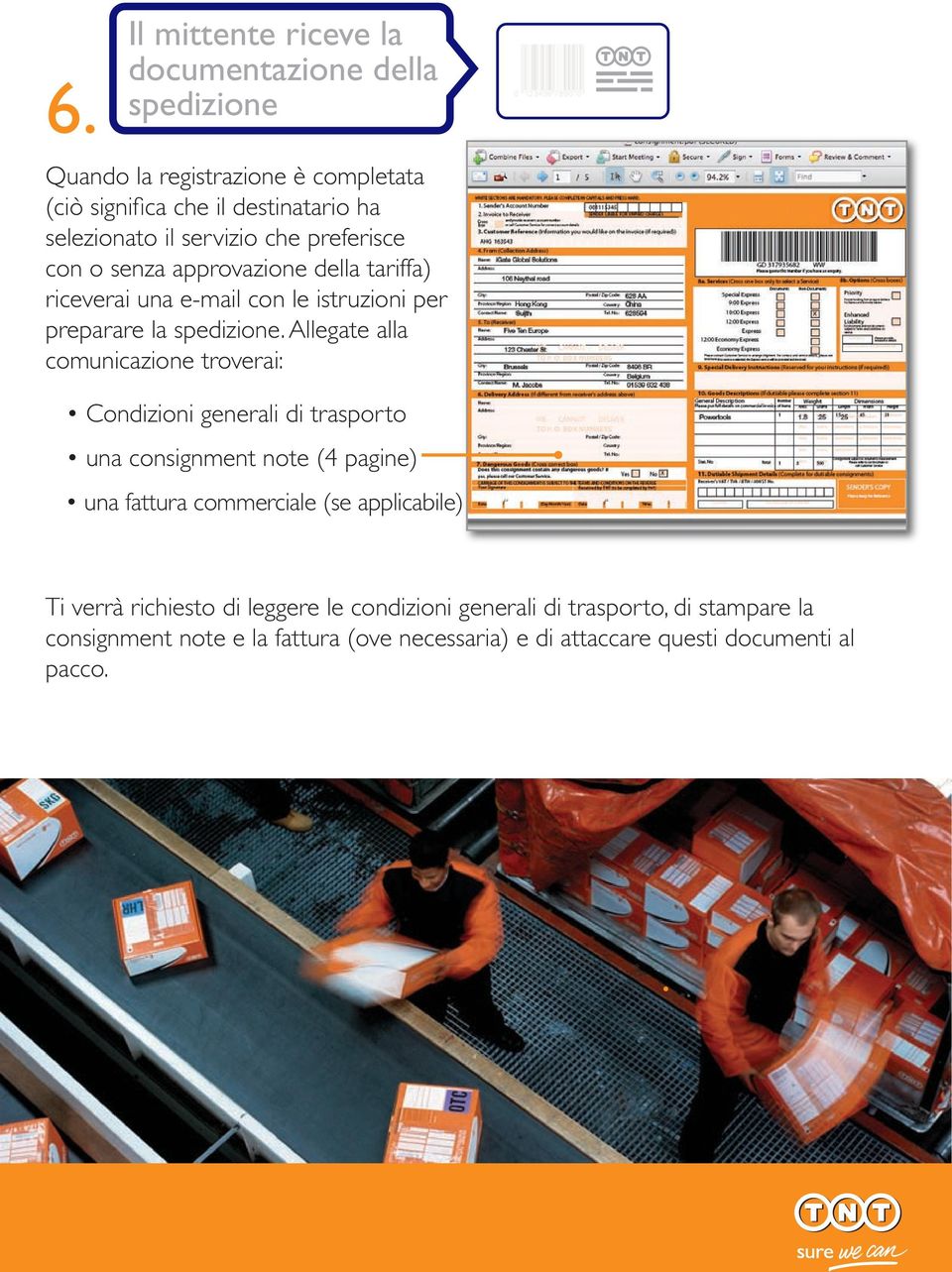 Allegate alla comunicazione troverai: Condizioni generali di trasporto una consignment note (4 pagine) una fattura commerciale (se applicabile) Ti