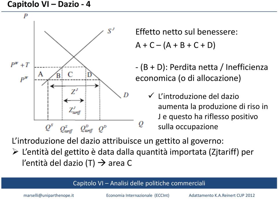 e questo ha riflesso positivo sulla occupazione L introduzione del dazio attribuisce un gettito al