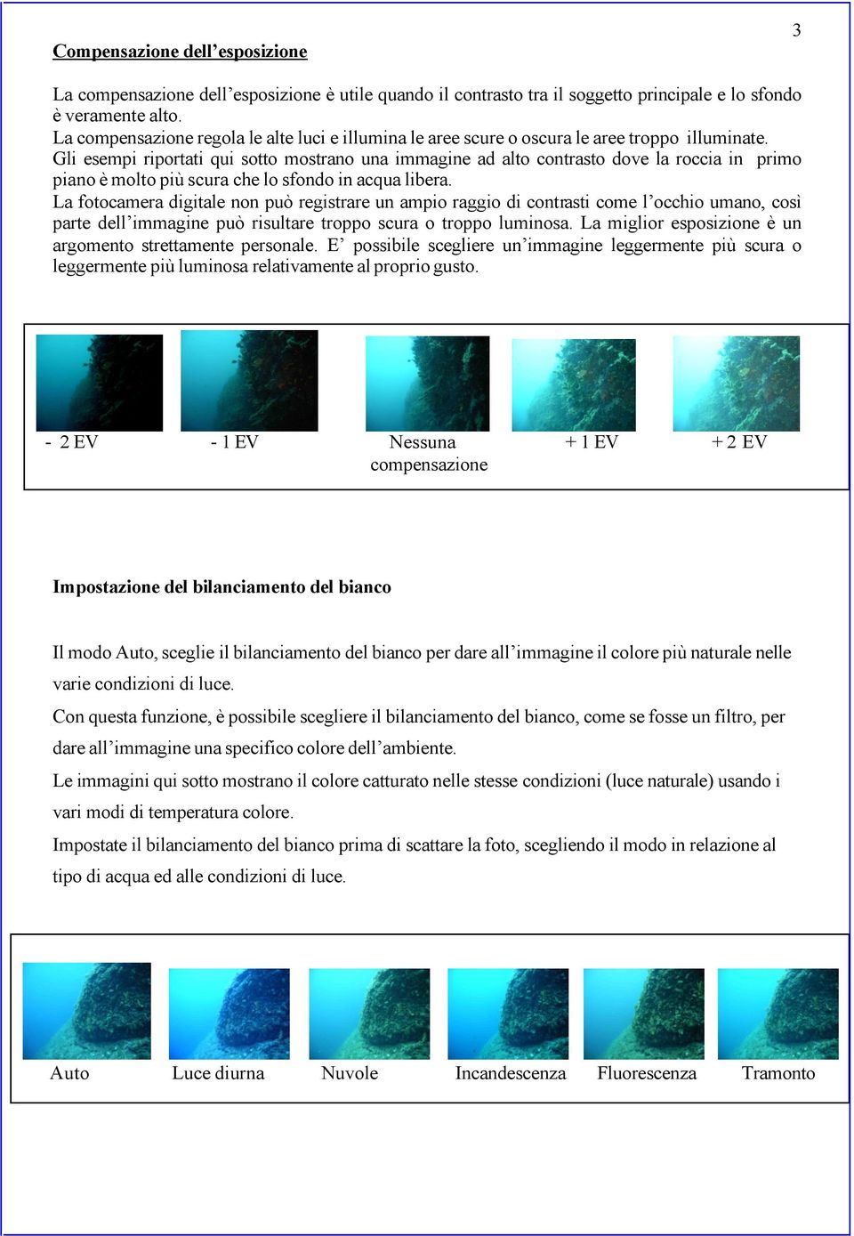 Gli esempi riportati qui sotto mostrano una immagine ad alto contrasto dove la roccia in primo piano è molto più scura che lo sfondo in acqua libera.