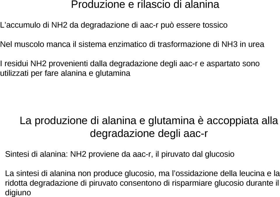 produzione di alanina e glutamina è accoppiata alla degradazione degli aac-r Sintesi di alanina: NH2 proviene da aac-r, il piruvato dal glucosio La