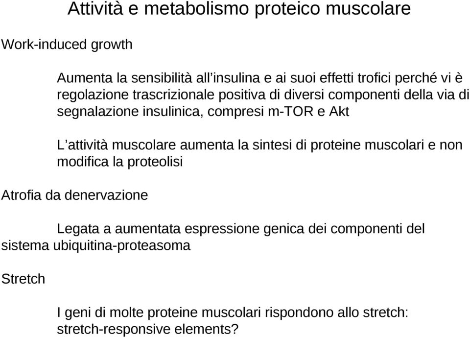 aumenta la sintesi di proteine muscolari e non modifica la proteolisi Atrofia da denervazione Legata a aumentata espressione genica dei