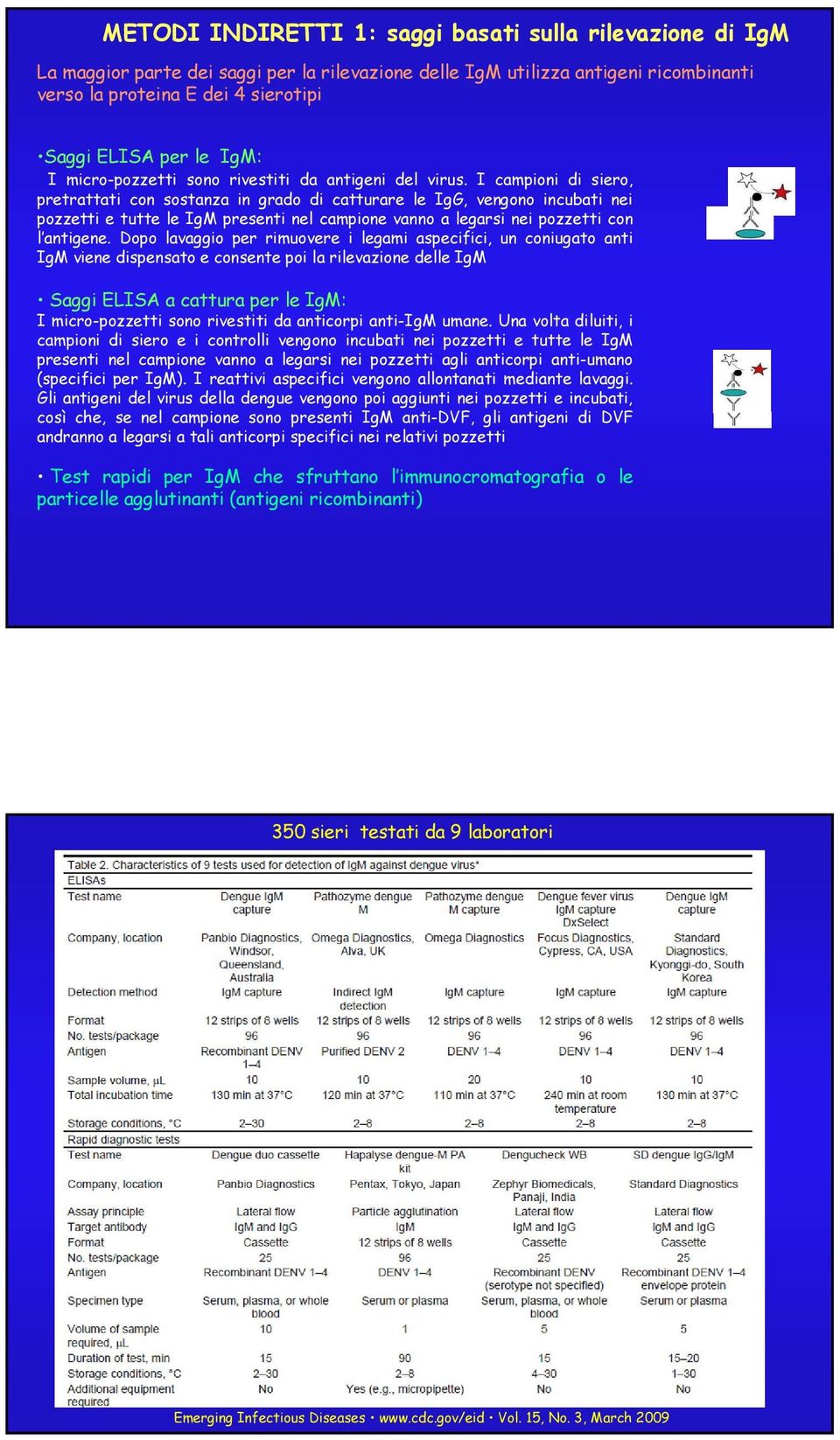 I campioni di siero, pretrattati con sostanza in grado di catturare le IgG, vengono incubati nei pozzetti e tutte le IgM presenti nel campione vanno a legarsi nei pozzetti con l antigene.