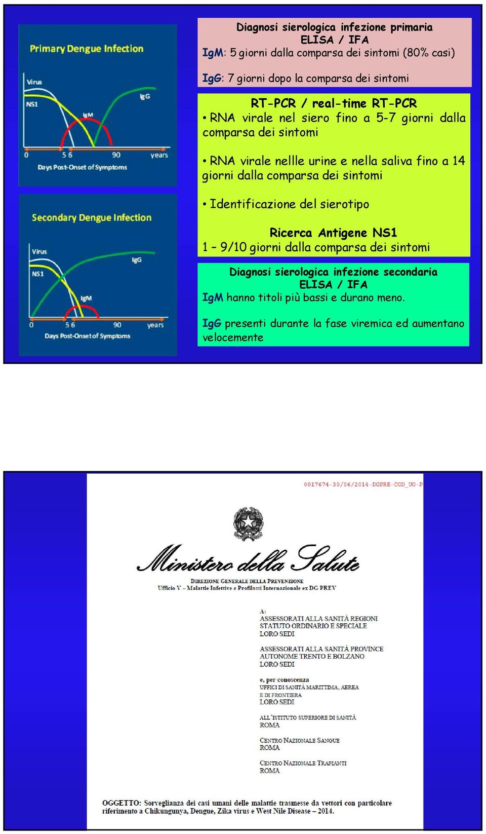 fino a 4 giorni dalla comparsa dei sintomi Identificazione del sierotipo Ricerca Antigene NS 9/0 giorni dalla comparsa dei sintomi Diagnosi