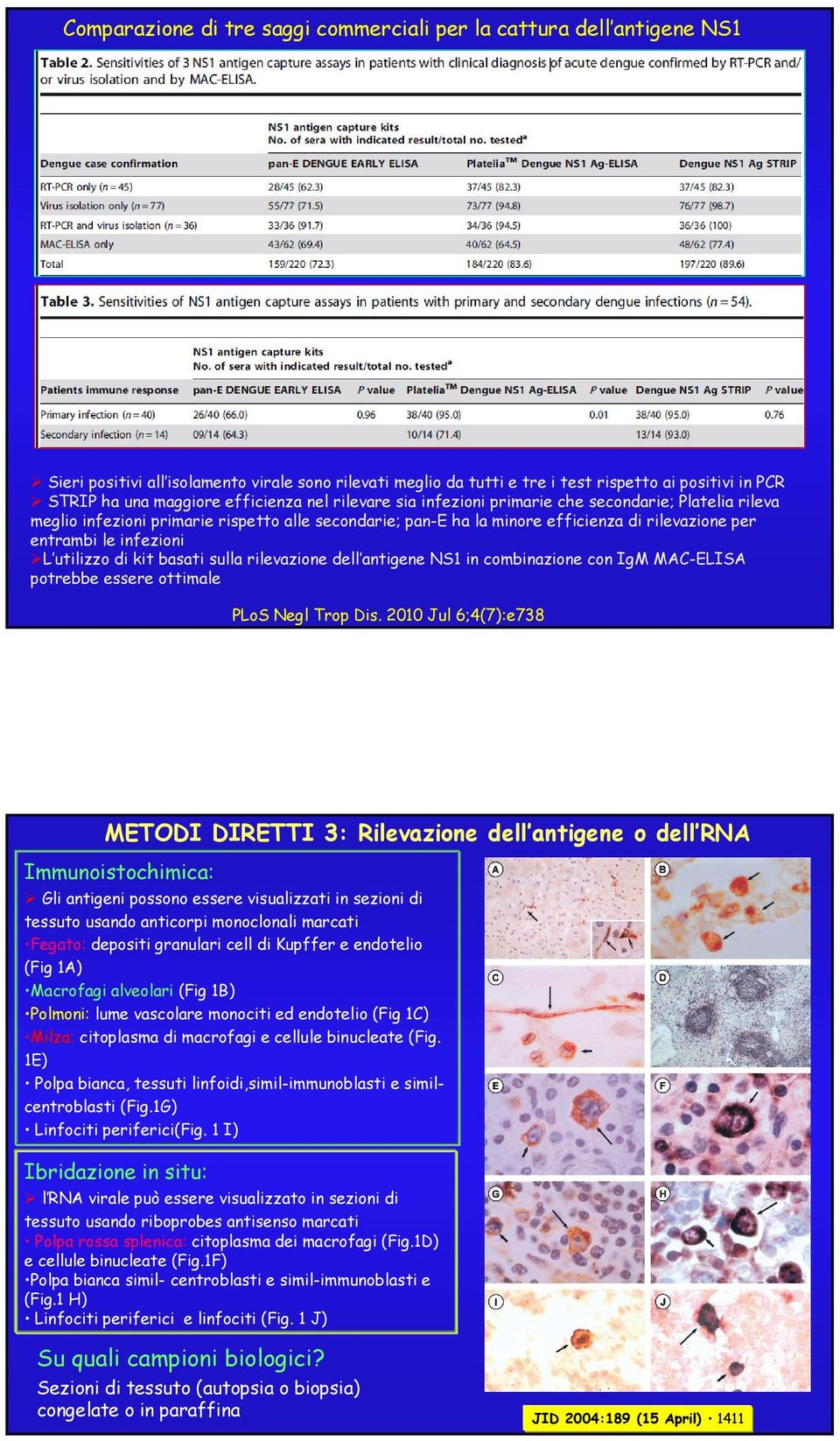 infezioni L utilizzo di kit basati sulla rilevazione dell antigene NS in combinazione con IgM MAC-ELISA potrebbe essere ottimale PLoS Negl Trop Dis.