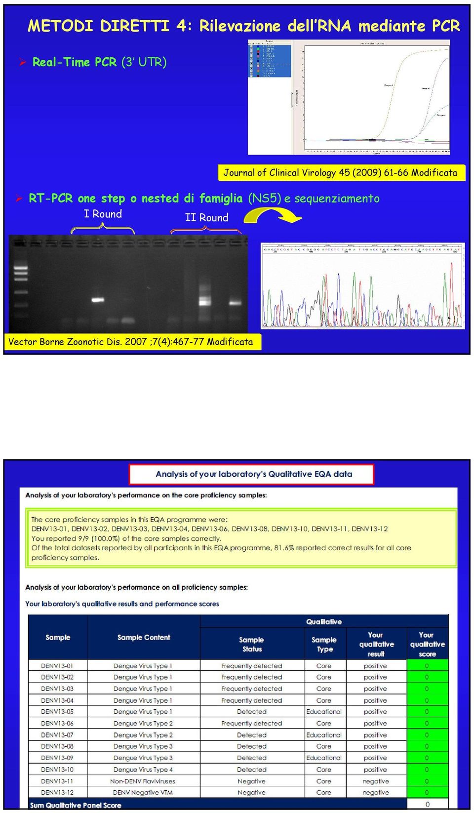 RT-PCR one step o nested di famiglia (NS5) e sequenziamento I