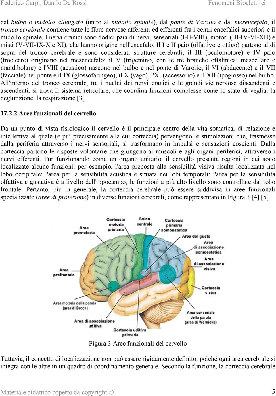 Il I e II paio (olfattivo e ottico) partono al di sopra del tronco cerebrale e sono considerati strutture cerebrali; il III (oculomotore) e IV paio (trocleare) originano nel mesencefalo; il V