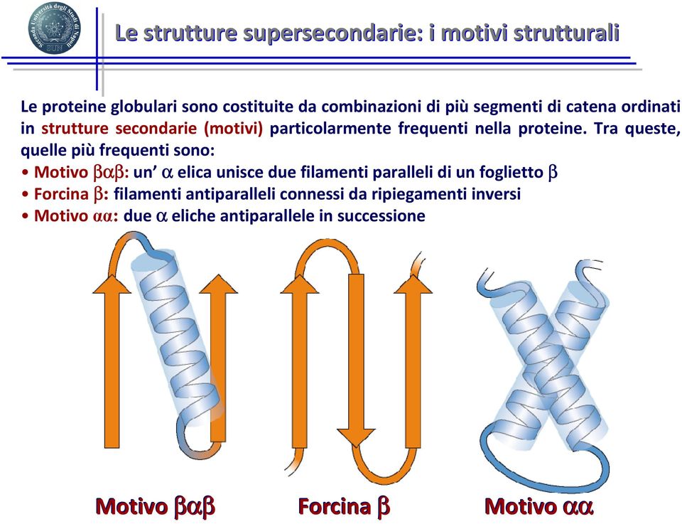 Tra queste, quelle più frequenti sono: Motivo βαβ: un α elica unisce due filamenti paralleli di un foglietto β Forcina β: