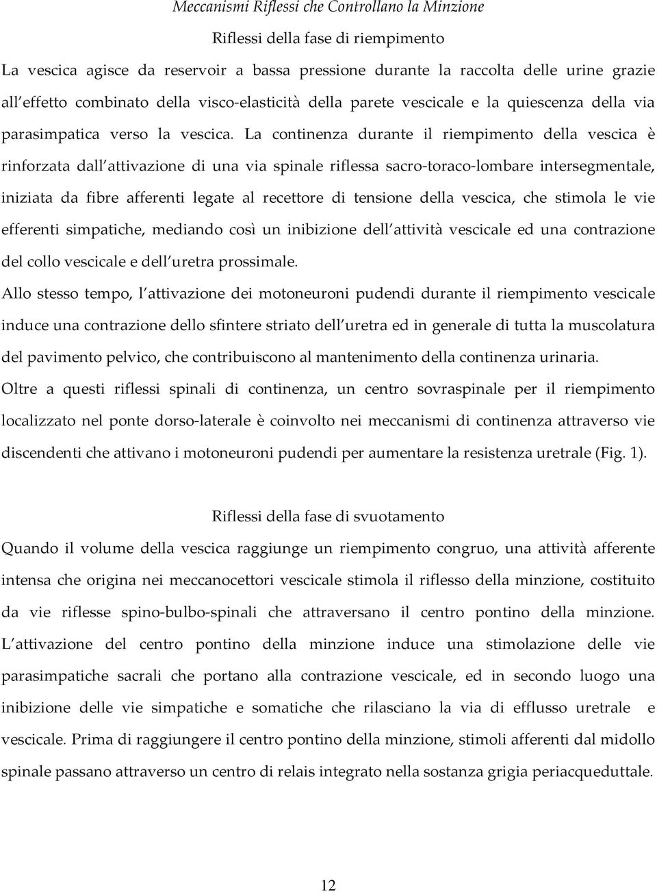 La continenza durante il riempimento della vescica è rinforzata dall attivazione di una via spinale riflessa sacro toraco lombare intersegmentale, iniziata da fibre afferenti legate al recettore di