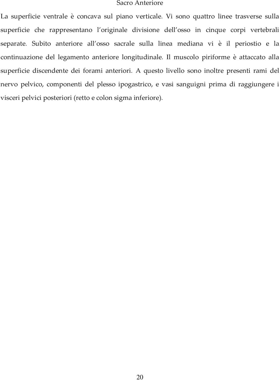 Subito anteriore all osso sacrale sulla linea mediana vi è il periostio e la continuazione del legamento anteriore longitudinale.