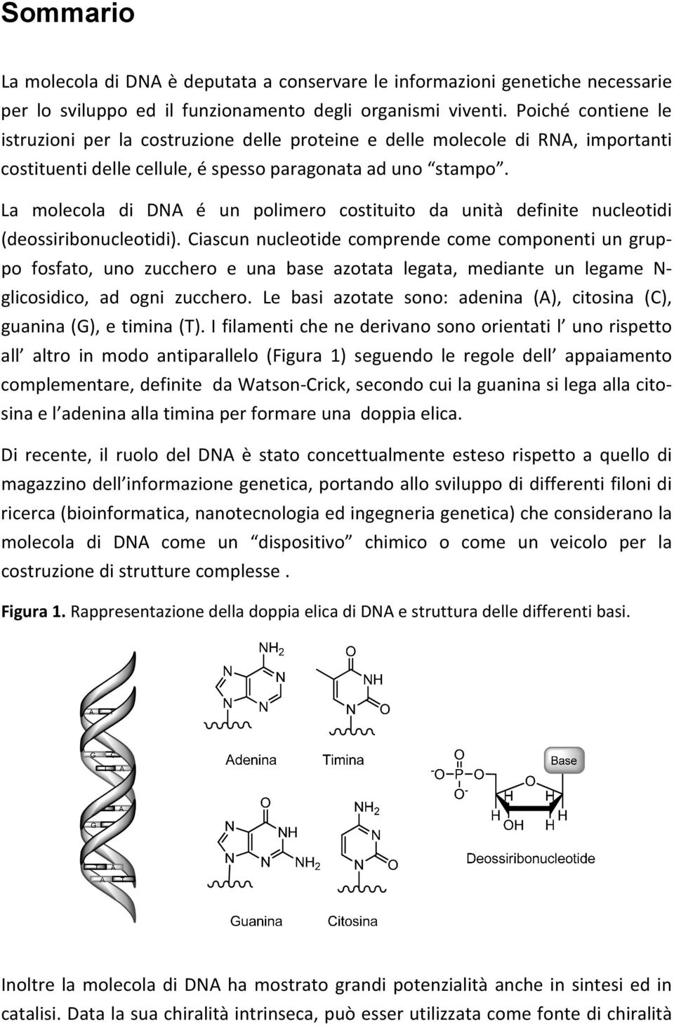 La molecola di DNA é un polimero costituito da unità definite nucleotidi (deossiribonucleotidi).
