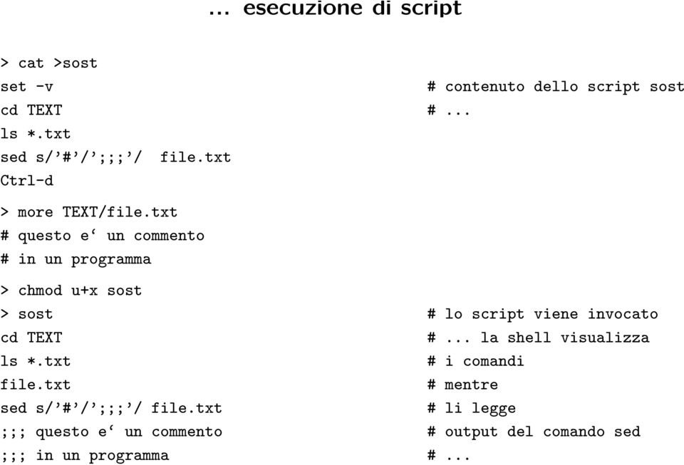 txt # questo e un commento # in un programma > chmod u+x sost > sost # lo script viene invocato cd TEXT #.