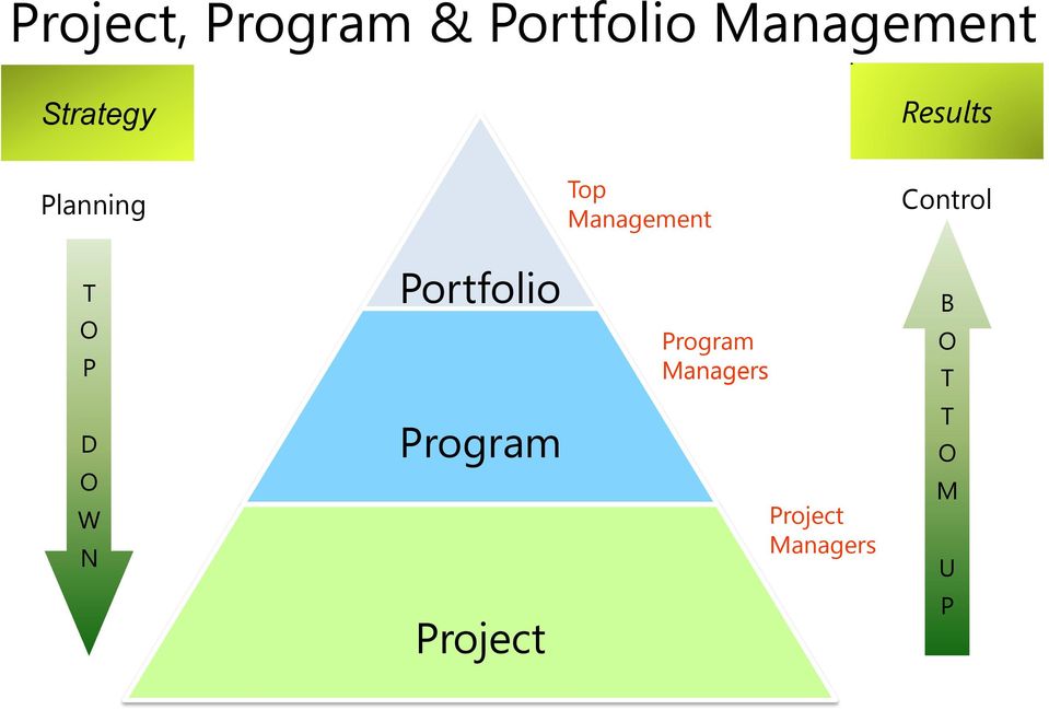 Control T O P Portfolio Program Managers B O