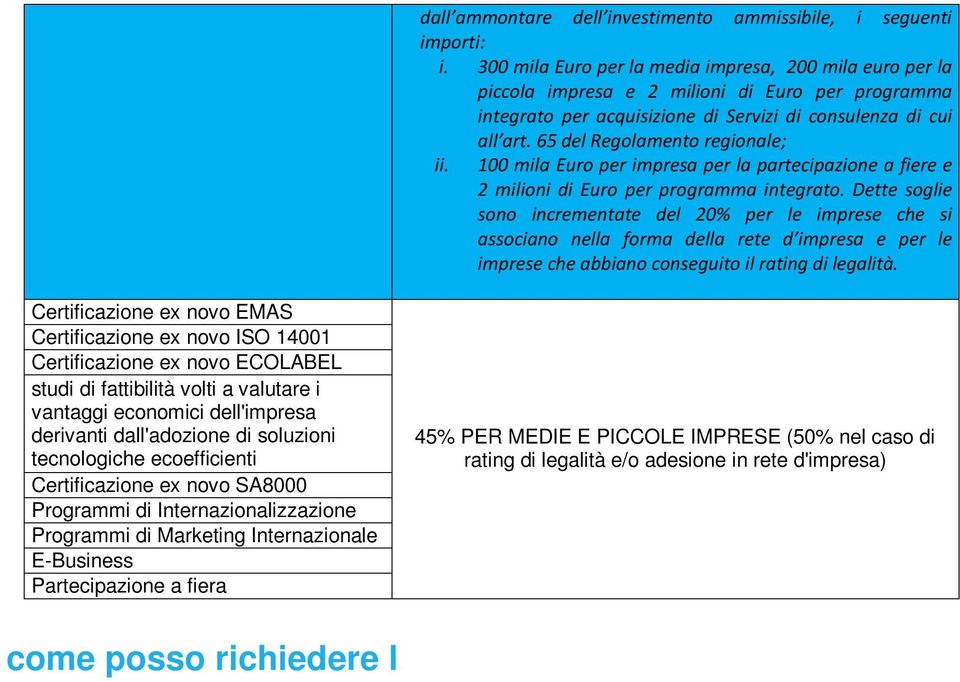 65 del Regolamento regionale; ii. 100 mila Euro per impresa per la partecipazione a fiere e 2 milioni di Euro per programma integrato.