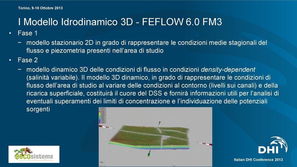 dinamico 3D delle condizioni di flusso in condizioni density-dependent (salinità variabile).