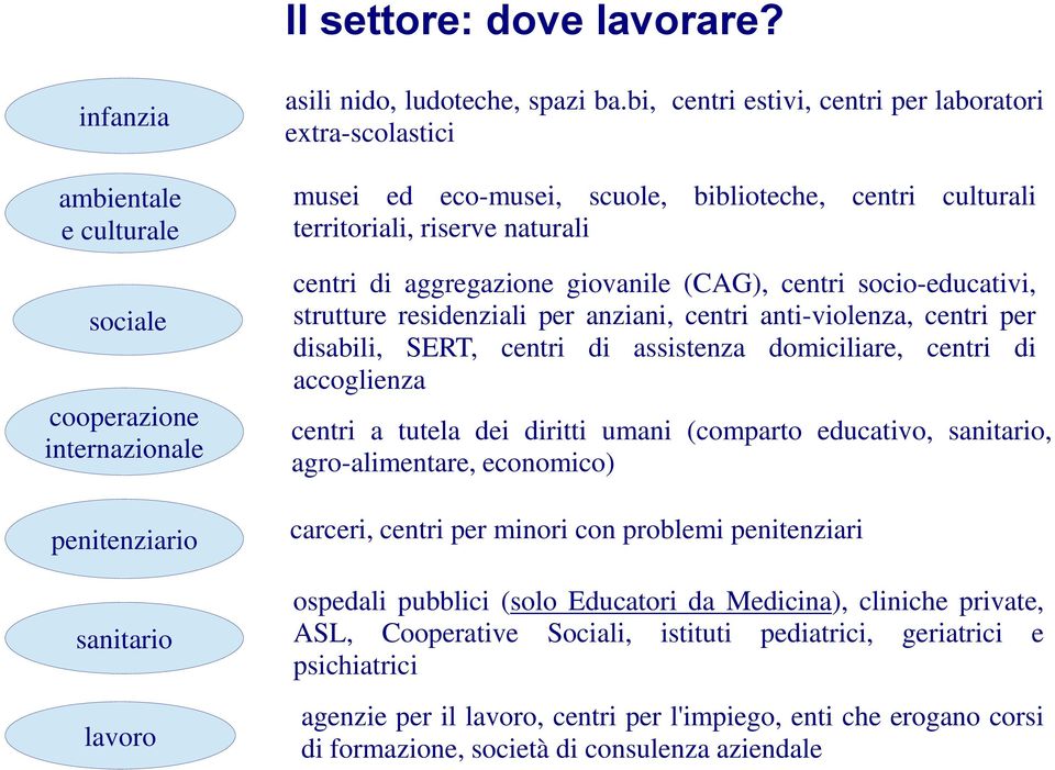 socio-educativi, strutture residenziali per anziani, centri anti-violenza, centri per disabili, SERT, centri di assistenza domiciliare, centri di accoglienza centri a tutela dei diritti umani