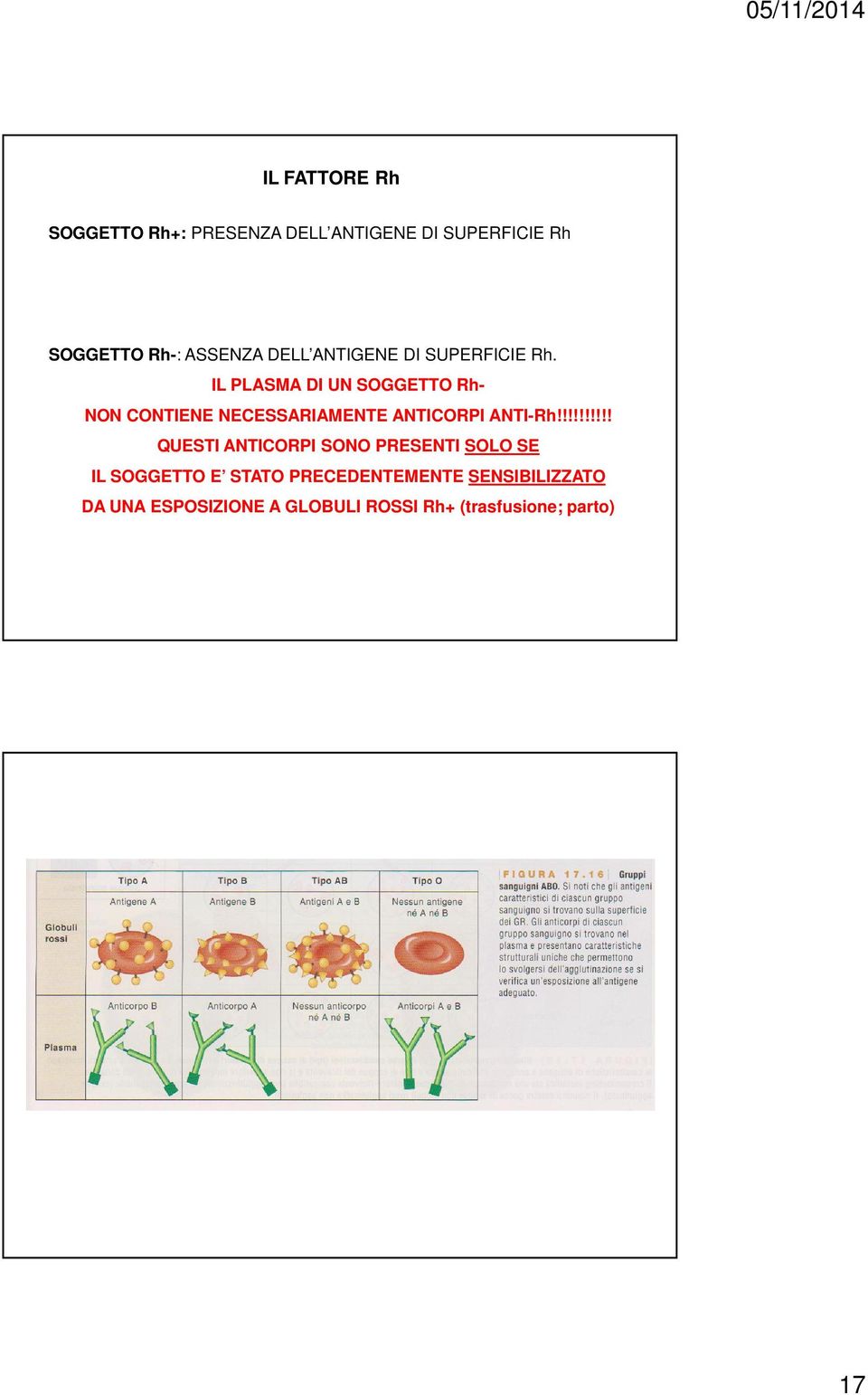 IL PLASMA DI UN SOGGETTO Rh- NON CONTIENE NECESSARIAMENTE ANTICORPI ANTI-Rh!