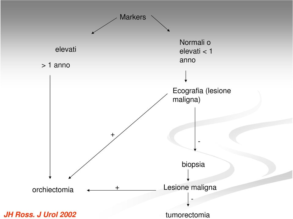 maligna) + - biopsia orchiectomia JH