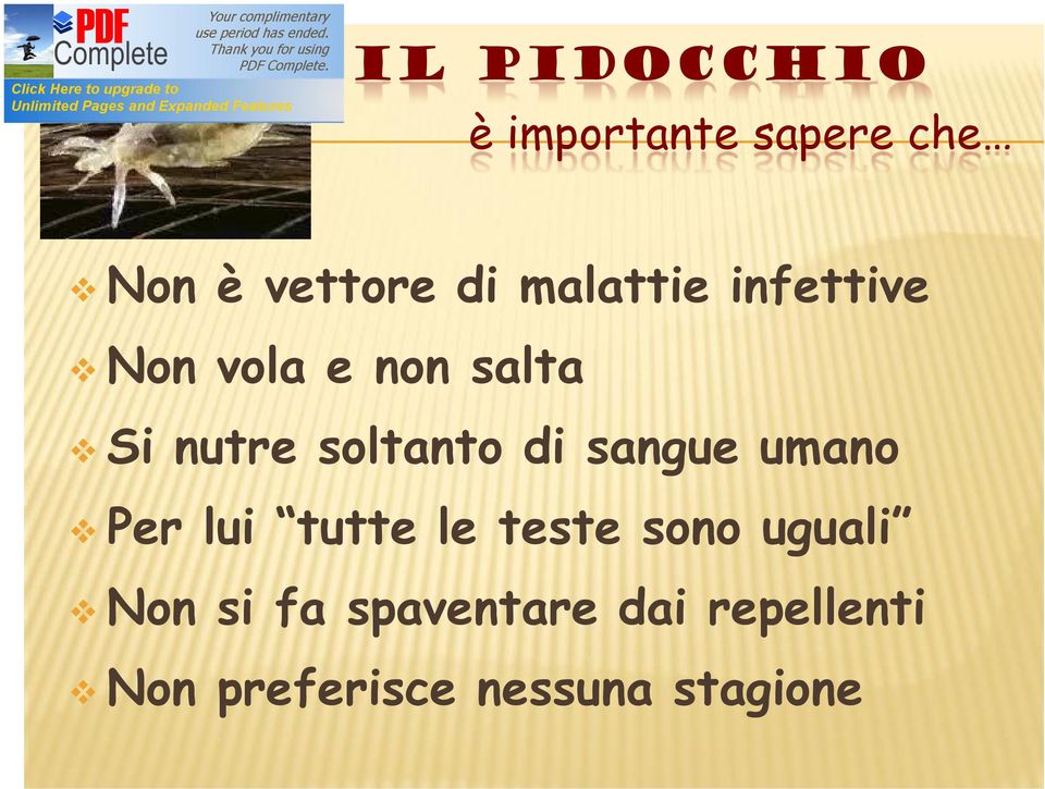 di sangue umano Per lui tutte le teste sono uguali Non si