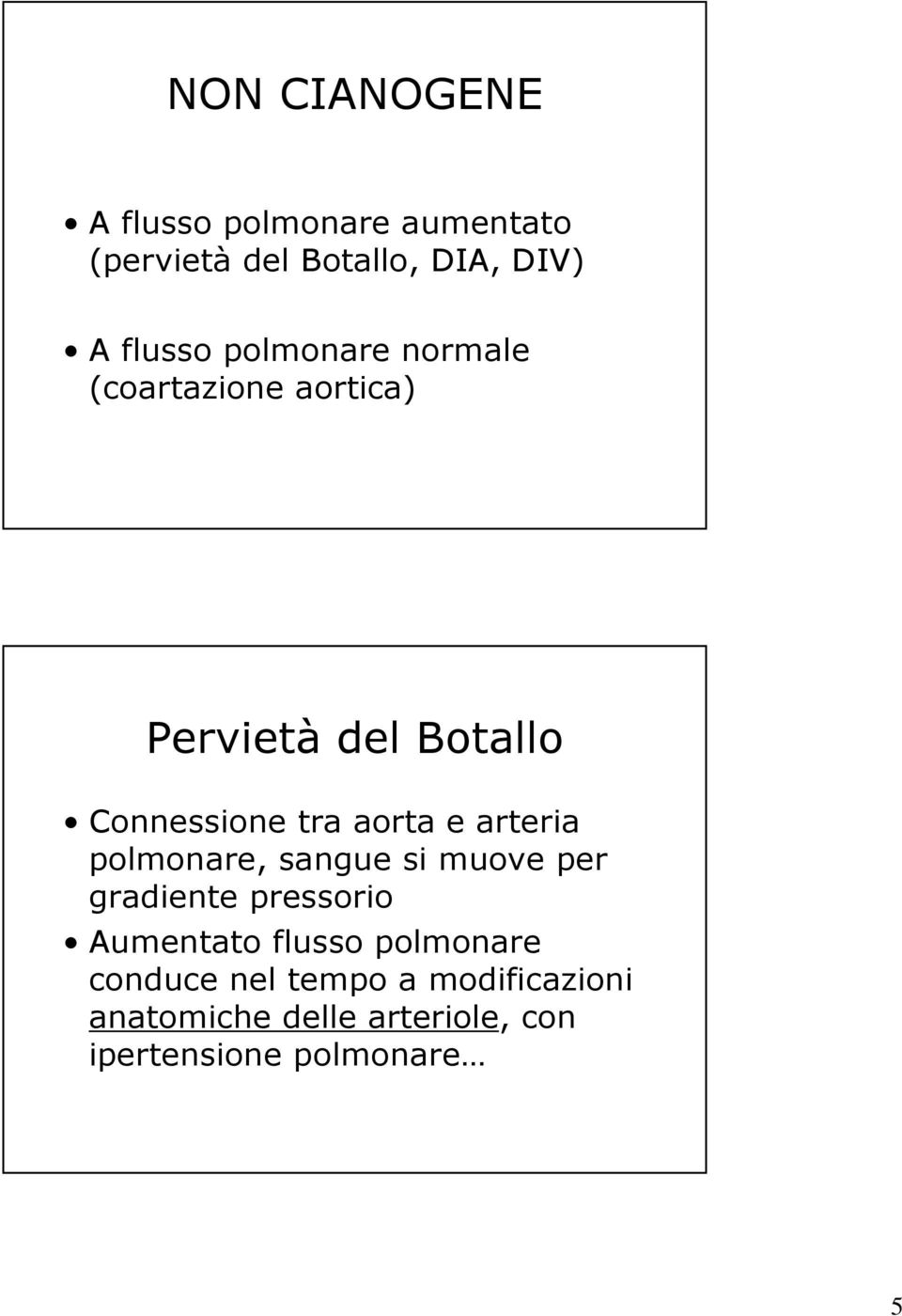 arteria polmonare, sangue si muove per gradiente pressorio Aumentato flusso polmonare