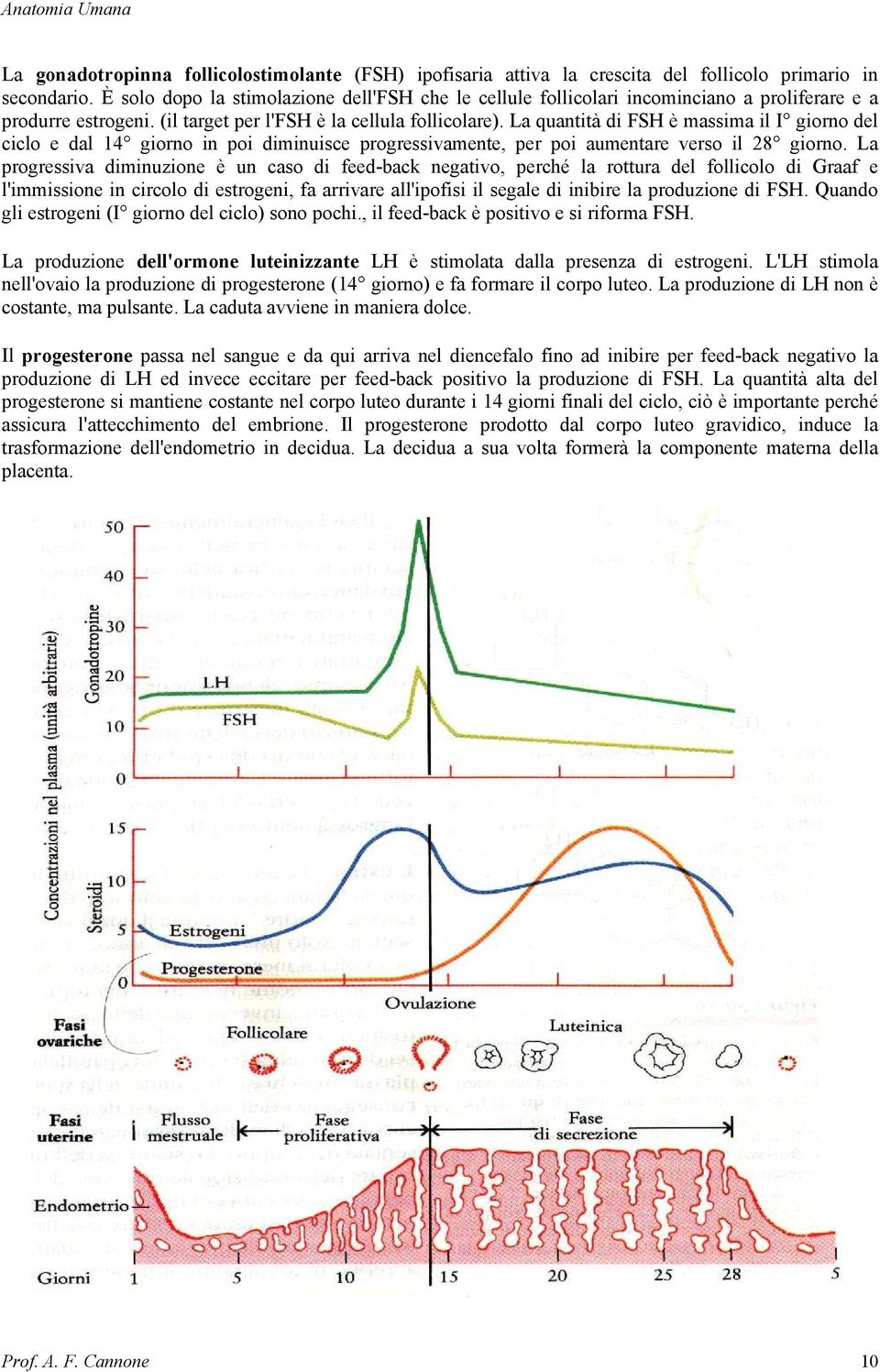 La quantità di FSH è massima il I giorno del ciclo e dal 14 giorno in poi diminuisce progressivamente, per poi aumentare verso il 28 giorno.