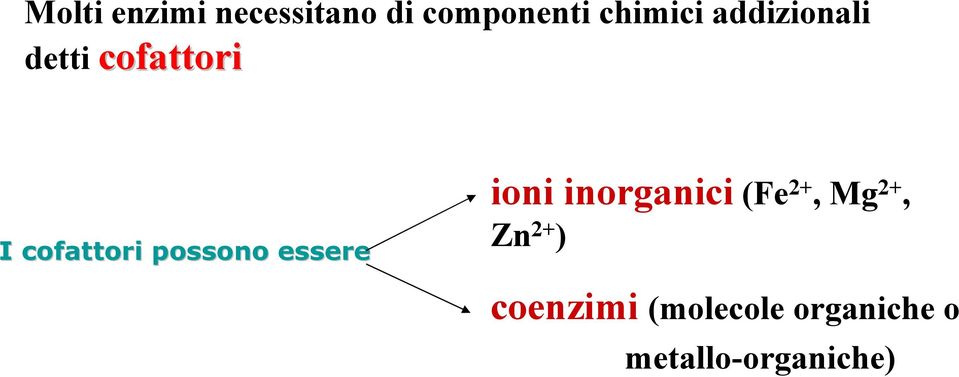 essere ioni inorganici (Fe 2+, Mg 2+, Zn 2+ )