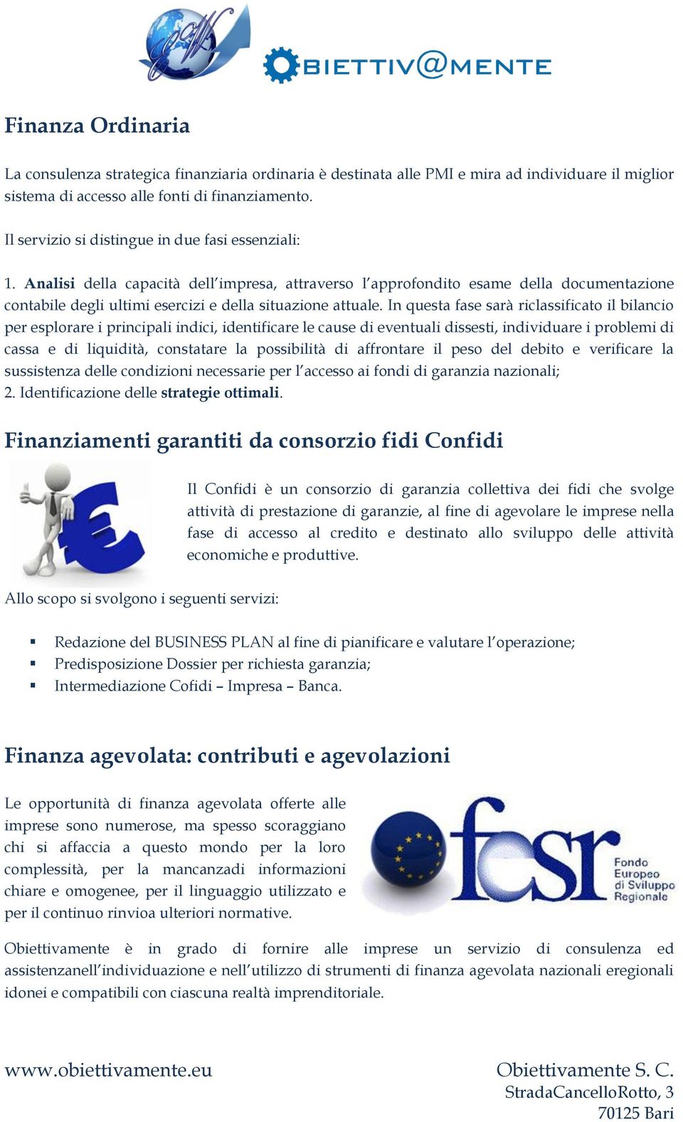 Analisi della capacità dell impresa, attraverso l approfondito esame della documentazione contabile degli ultimi esercizi e della situazione attuale.