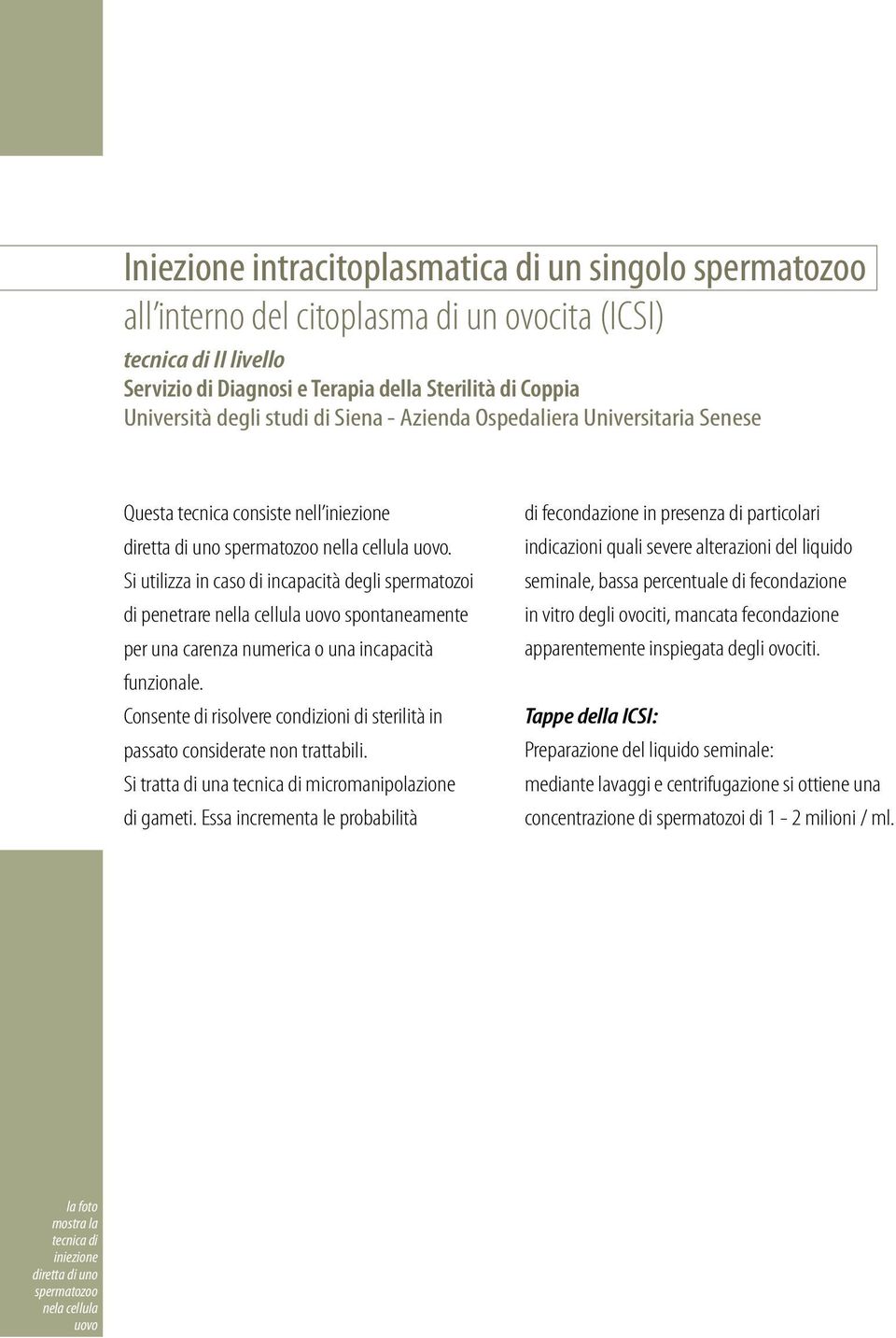 Si utilizza in caso di incapacità degli spermatozoi di penetrare nella cellula uovo spontaneamente per una carenza numerica o una incapacità funzionale.