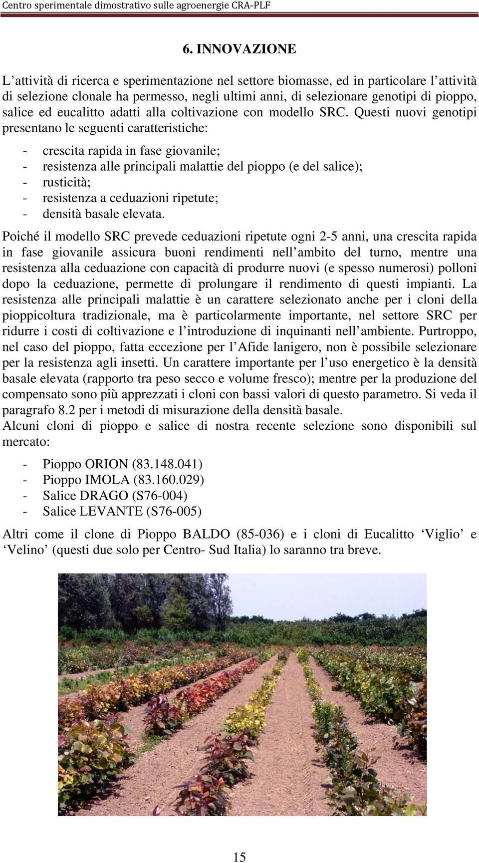 Questi nuovi genotipi presentano le seguenti caratteristiche: - crescita rapida in fase giovanile; - resistenza alle principali malattie del pioppo (e del salice); - rusticità; - resistenza a