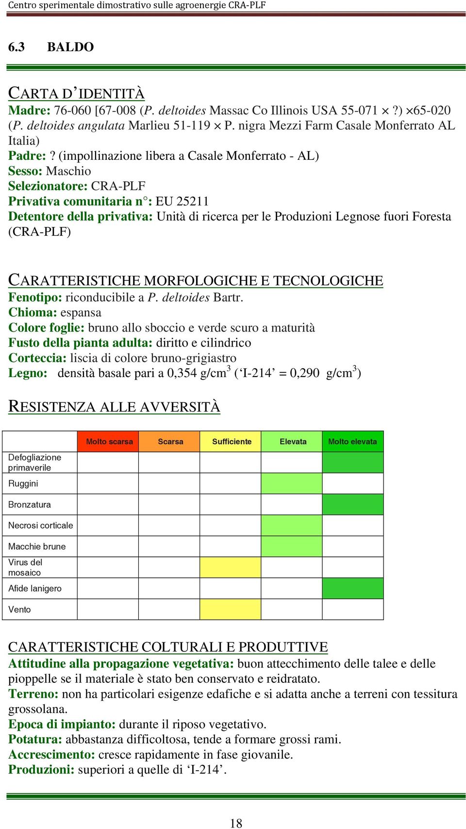 Foresta (CRA-PLF) CARATTERISTICHE MORFOLOGICHE E TECNOLOGICHE Fenotipo: riconducibile a P. deltoides Bartr.