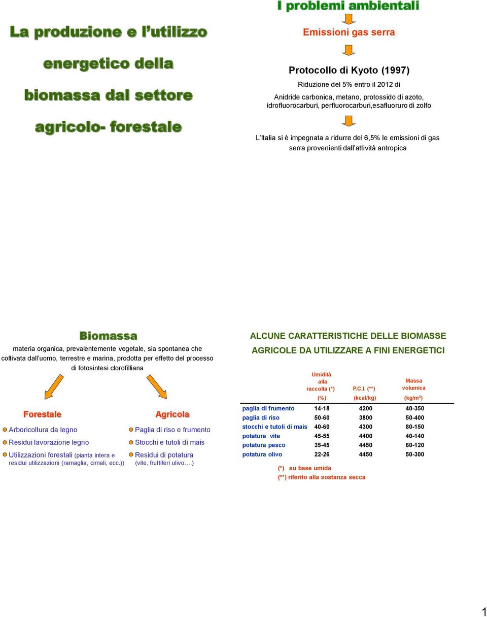 antropica Biomassa materia organica, prevalentemente vegetale, sia spontanea che coltivata dall uomo, terrestre e marina, prodotta per effetto del processo di fotosintesi clorofilliana Forestale