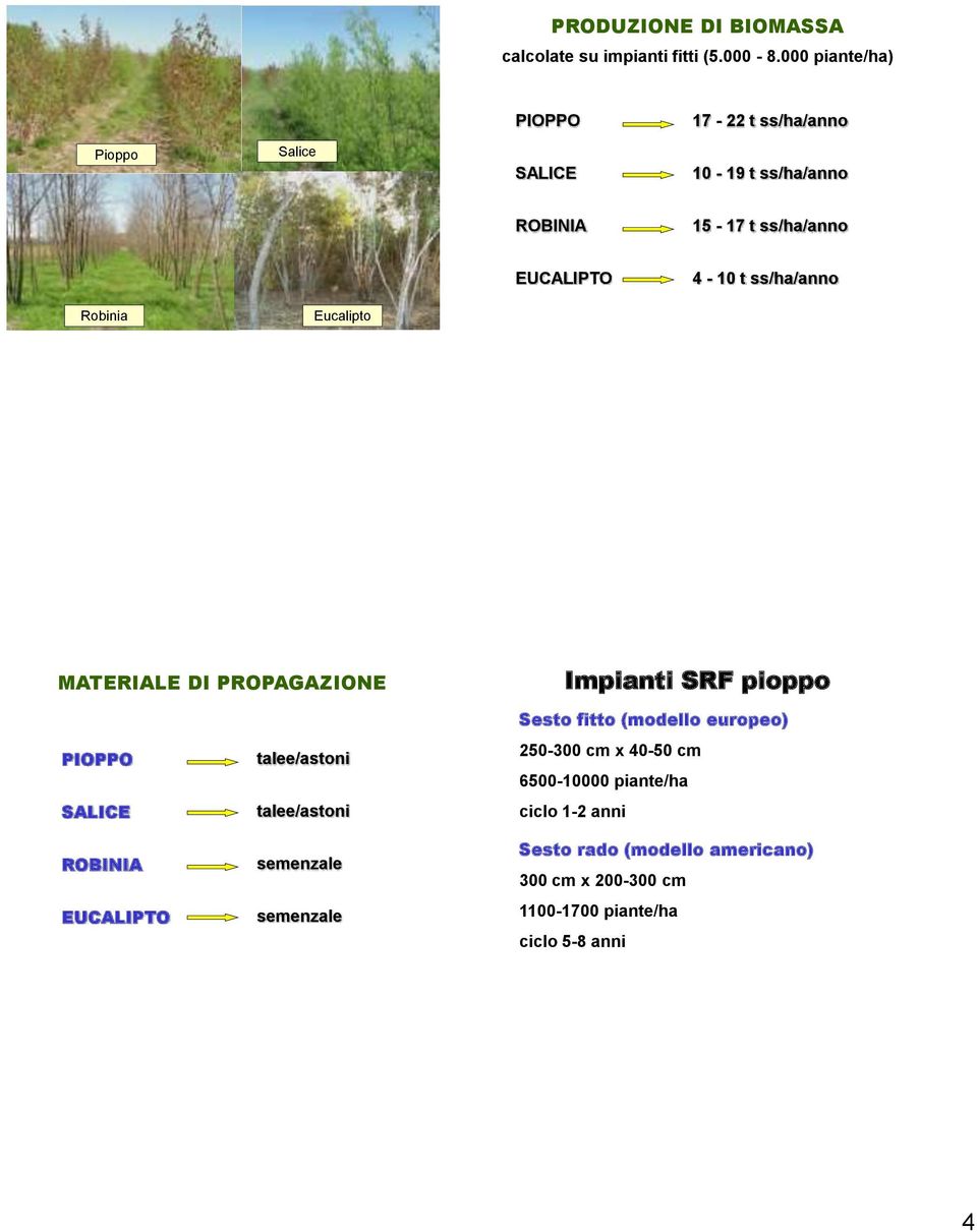 ss/ha/anno Robinia Eucalipto MATERIALE DI PROPAGAZIONE Impianti SRF pioppo PIOPPO SALICE ROBINIA EUCALIPTO