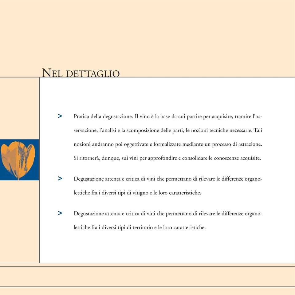 Tali nozioni andranno poi oggettivate e formalizzate mediante un processo di astrazione.