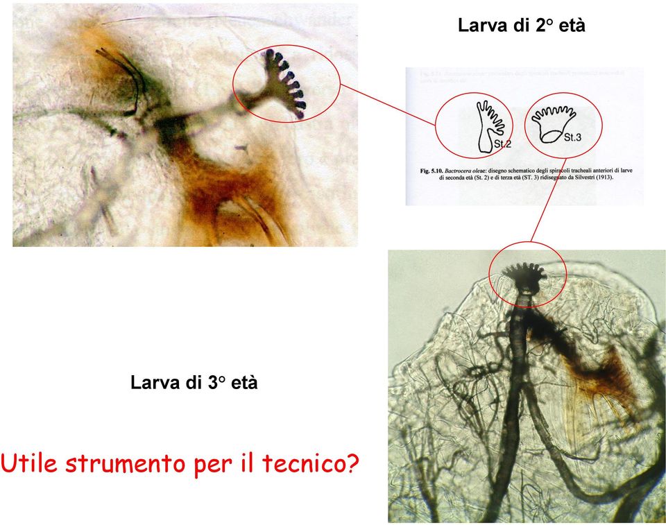 Utile strumento