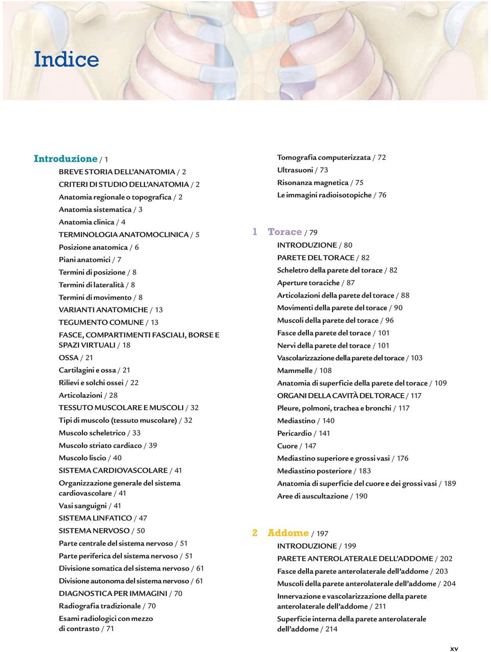 COMPARTIMENTI FASCIALI, BORSE E SPAZI VIRTUALI / 18 OSSA / 21 Cartilagini e ossa / 21 Rilievi e solchi ossei / 22 Articolazioni / 28 TESSUTO MUSCOLARE E MUSCOLI / 32 Tipi di muscolo (tessuto