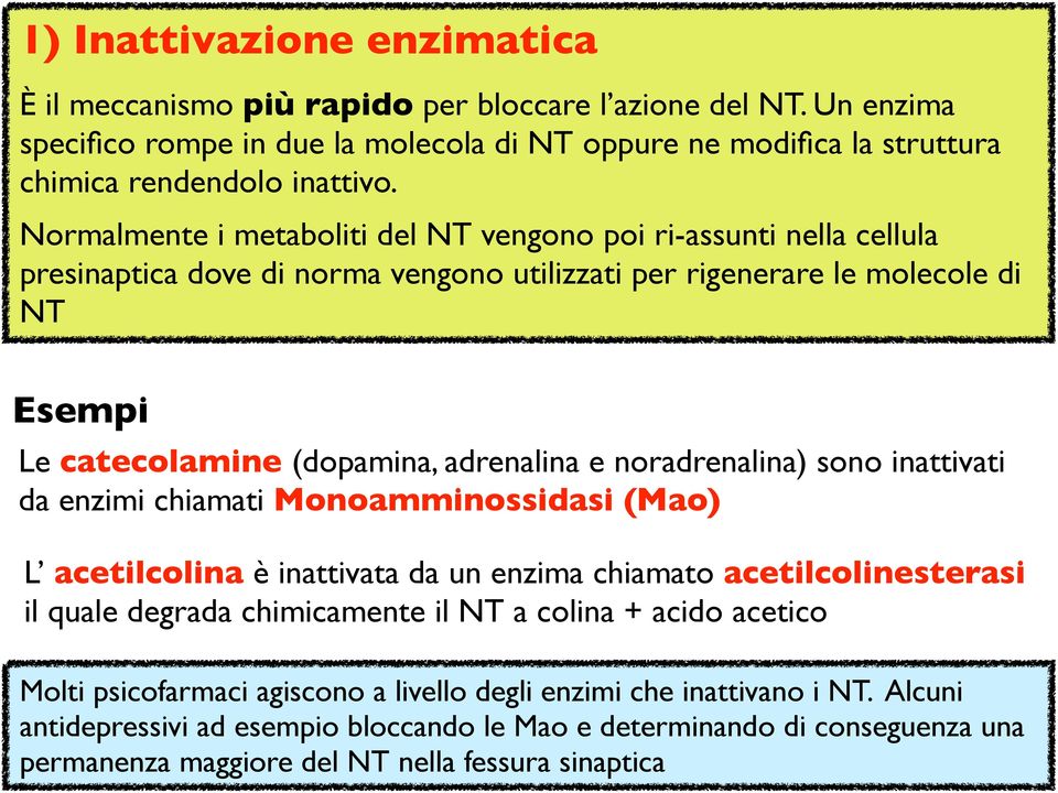 noradrenalina) sono inattivati da enzimi chiamati Monoamminossidasi (Mao) L acetilcolina è inattivata da un enzima chiamato acetilcolinesterasi il quale degrada chimicamente il NT a colina + acido