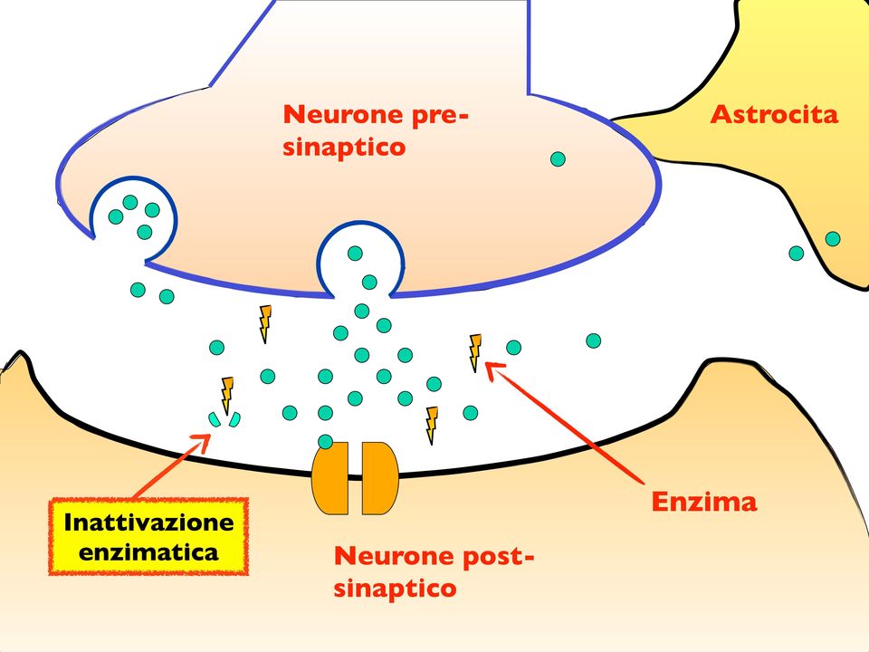 Inattivazione