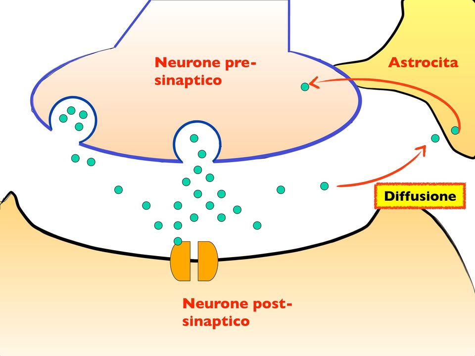 Astrocita