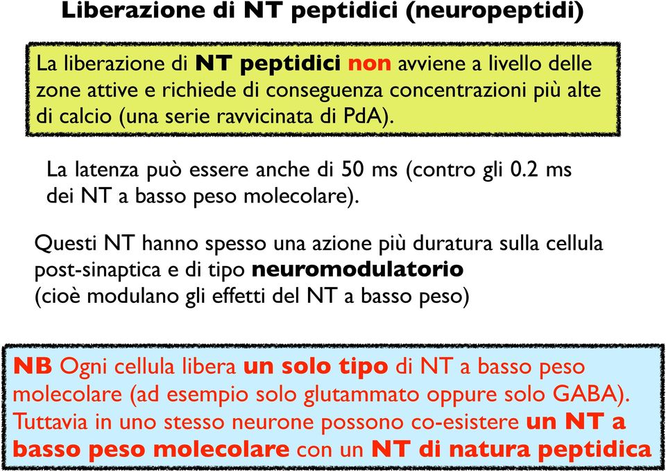 Questi NT hanno spesso una azione più duratura sulla cellula post-sinaptica e di tipo neuromodulatorio (cioè modulano gli effetti del NT a basso peso) NB Ogni cellula