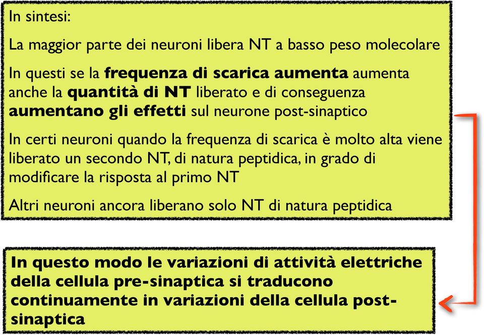 liberato un secondo NT, di natura peptidica, in grado di modificare la risposta al primo NT Altri neuroni ancora liberano solo NT di natura