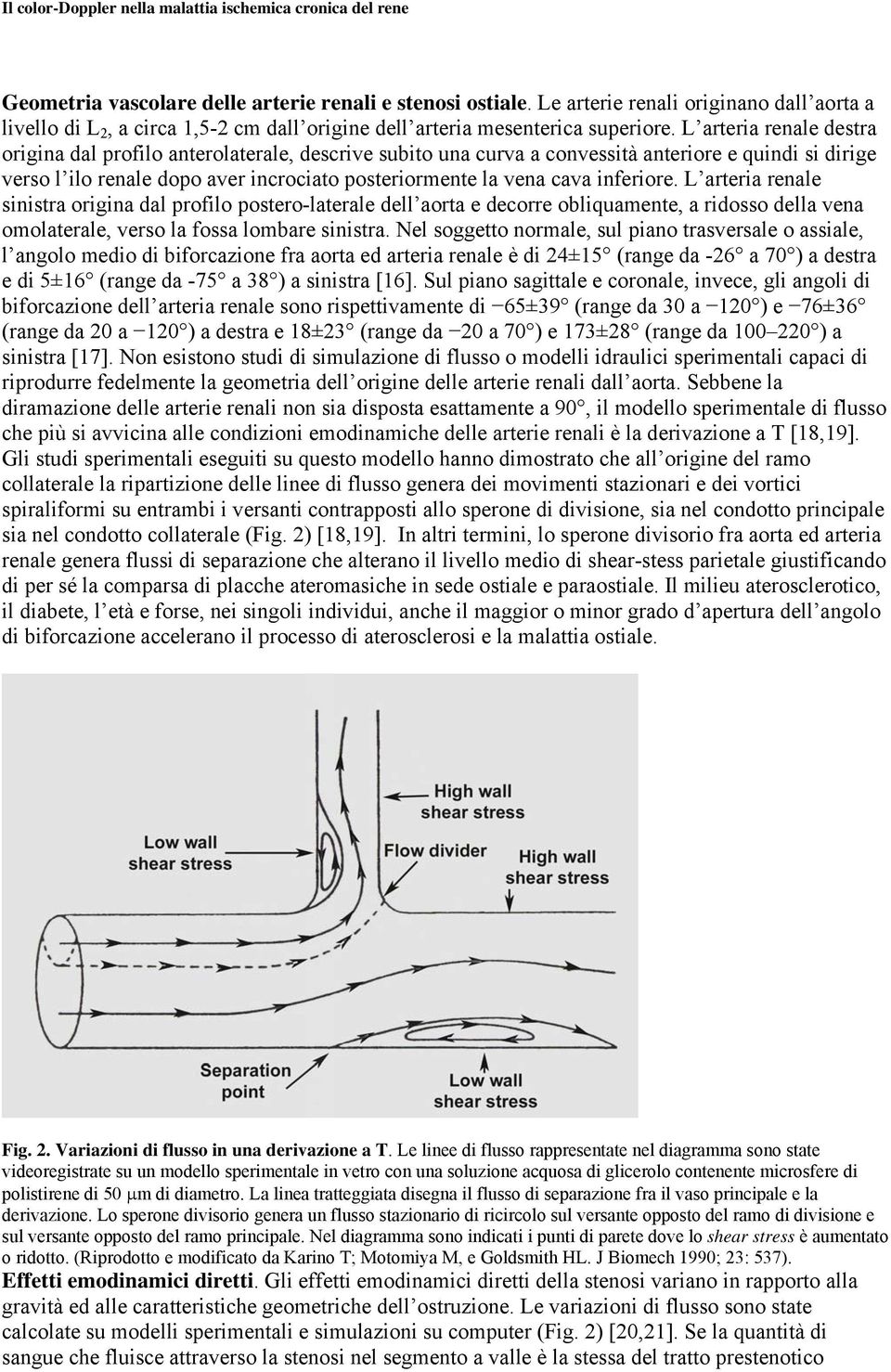 inferiore. L arteria renale sinistra origina dal profilo postero-laterale dell aorta e decorre obliquamente, a ridosso della vena omolaterale, verso la fossa lombare sinistra.