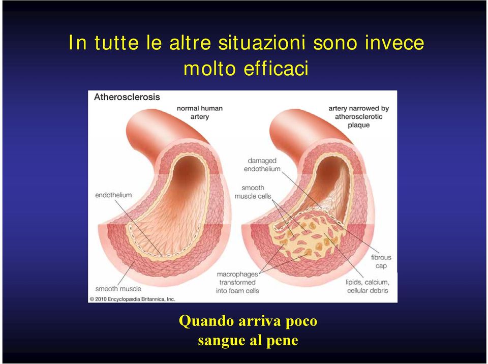 molto efficaci Q d i