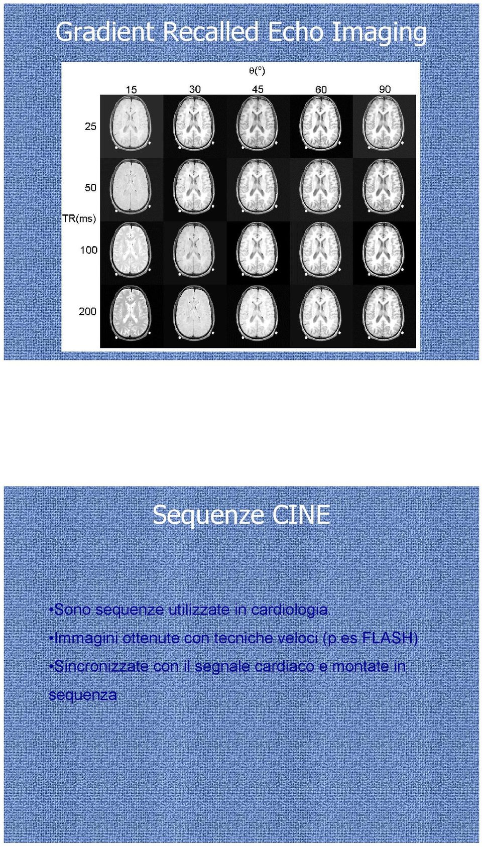 Immagini ottenute con tecniche veloci (p.