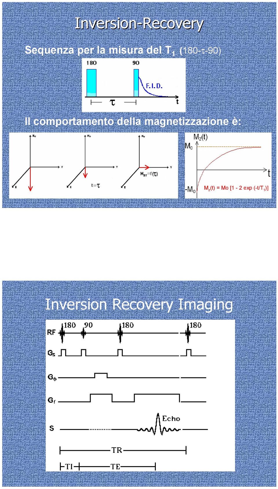 comportamento della magnetizzazione è: