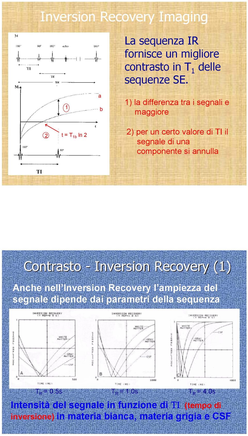 si annulla Contrasto - Inversion Recovery (1) Anche nell Inversion Recovery l ampiezza del segnale dipende dai parametri