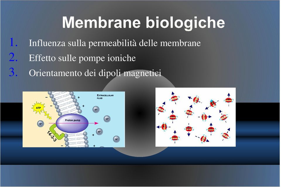 delle membrane Effetto sulle